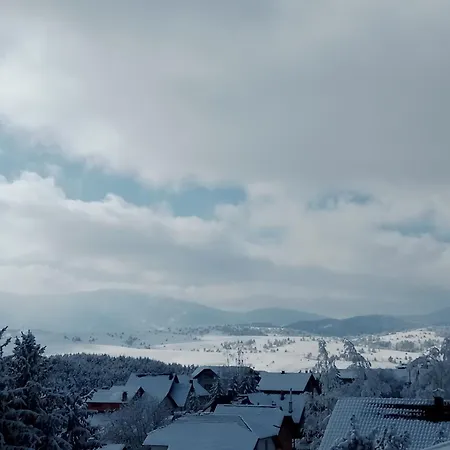 Golden Clover 33 * Zlatibor