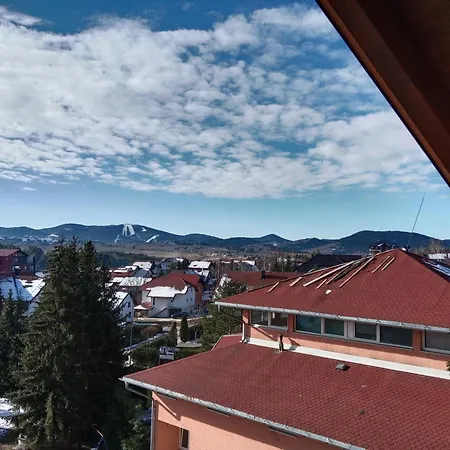 Golden Clover 33 Zlatibor