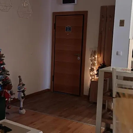 Golden Clover 33 * Zlatibor