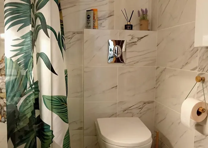 Golden Clover 33 Zlatibor