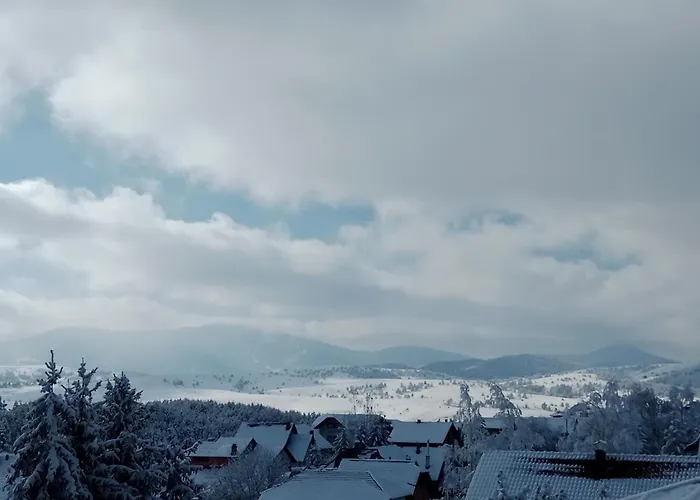 Golden Clover 33 * Zlatibor