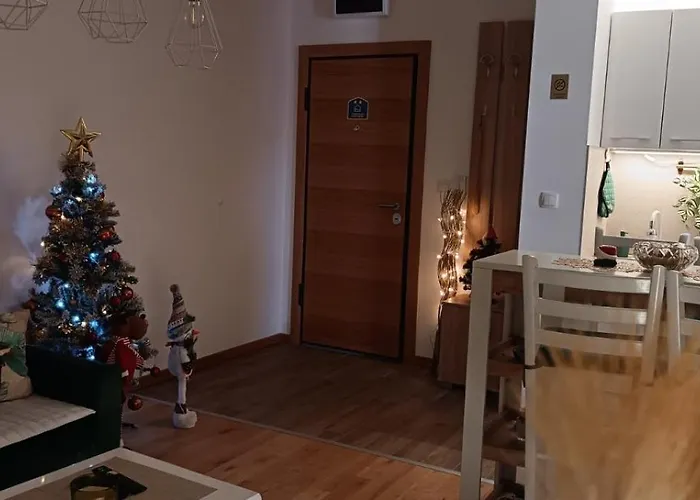 Golden Clover 33 * Zlatibor